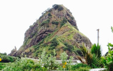 Piha Store餐厅图片