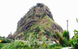Piha Store