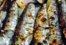 Kapetan Manolis美食图片