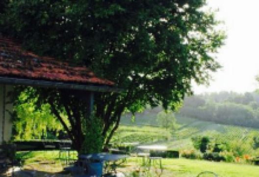 Le Clos Mirande美食图片