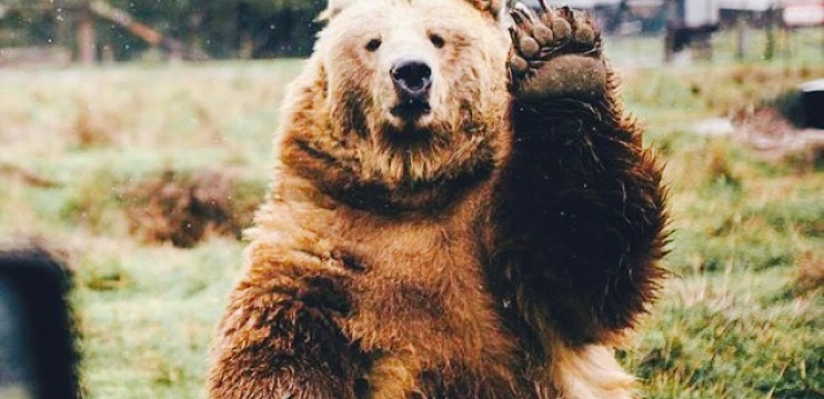 Joe's Italian Villa餐厅图片