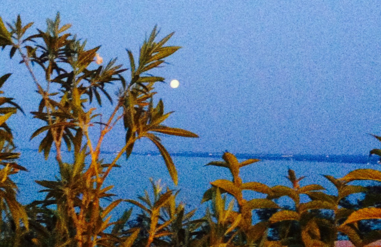 Balatoni Haz Etterem餐厅图片