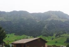 Burger King美食图片