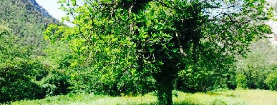 Ai 3 Archi餐厅图片