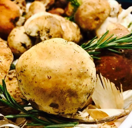 Ristorante Il Ducale