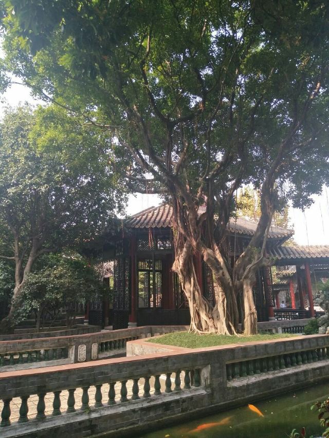 Qinghui Garden