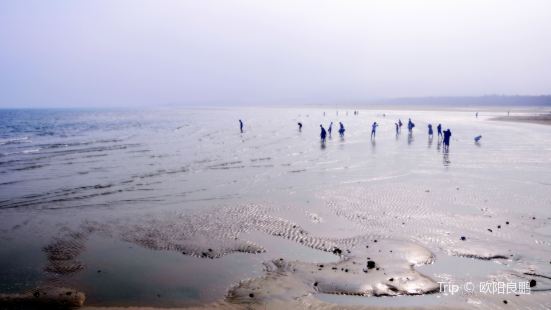 Qingshan Bay