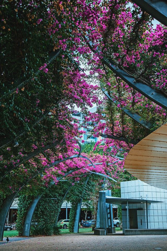 South Bank Parklands