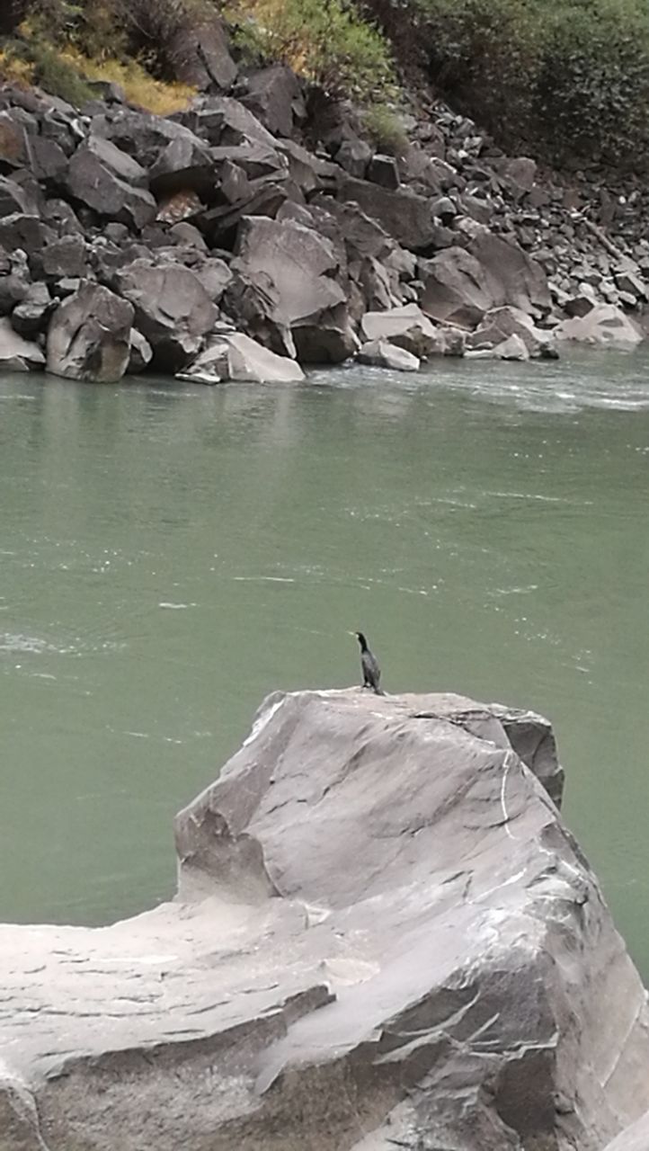 鹤仙井