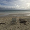 Banana Bay