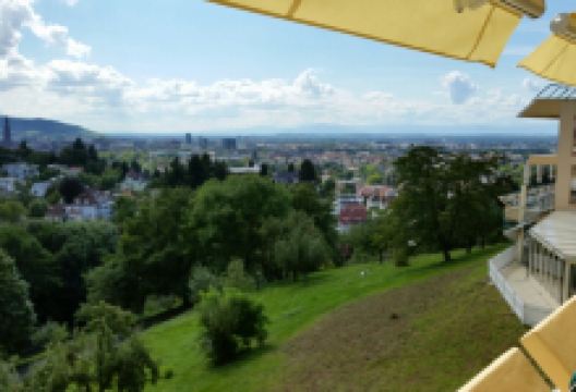 Chez Eric - Panorama Hotel Mercure Freiburg美食图片