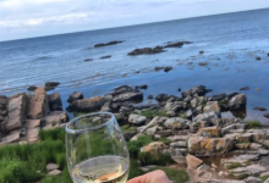 Sandvig Is Kalas美食图片