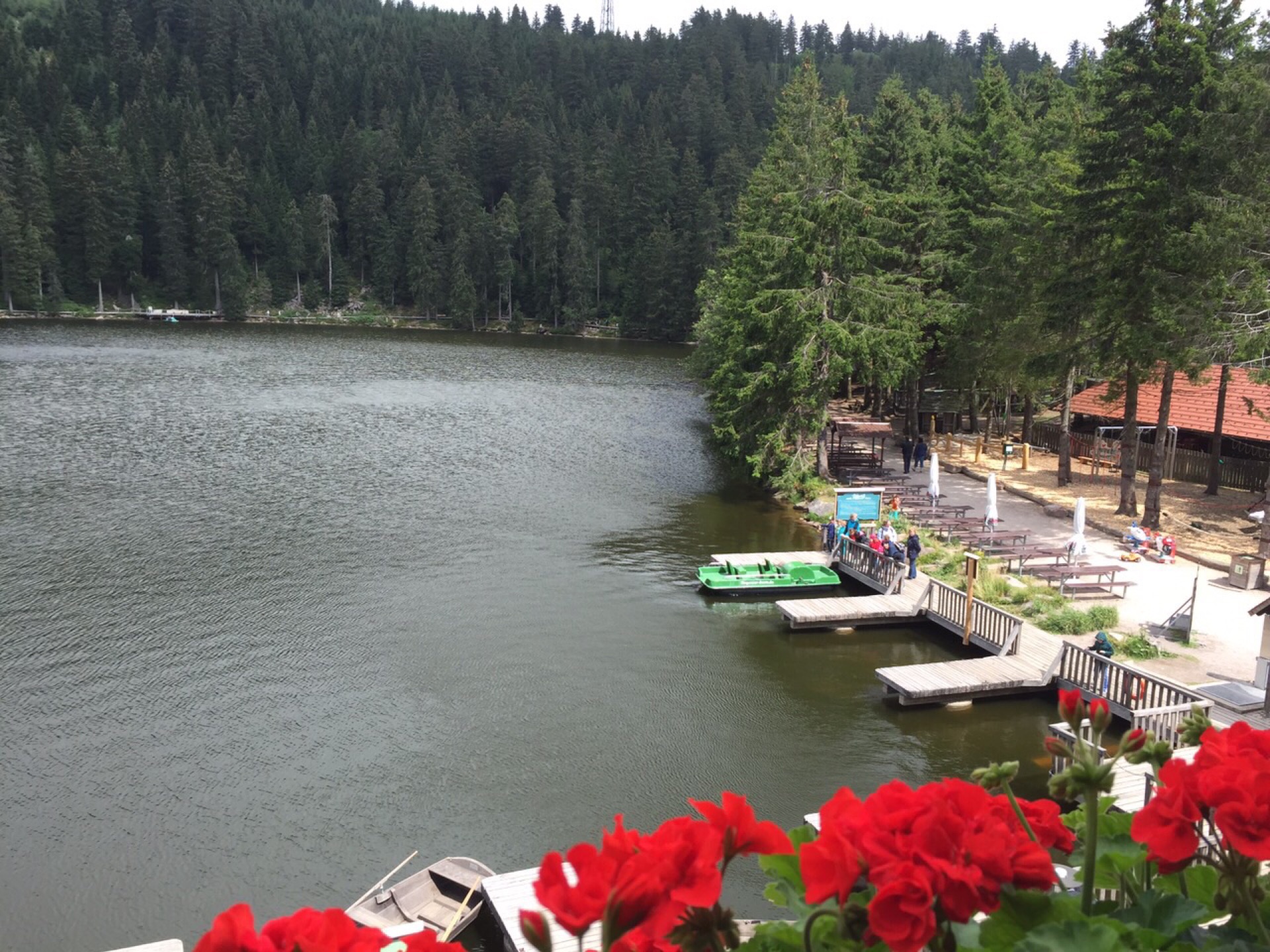 Mummelsee Restaurant餐厅图片