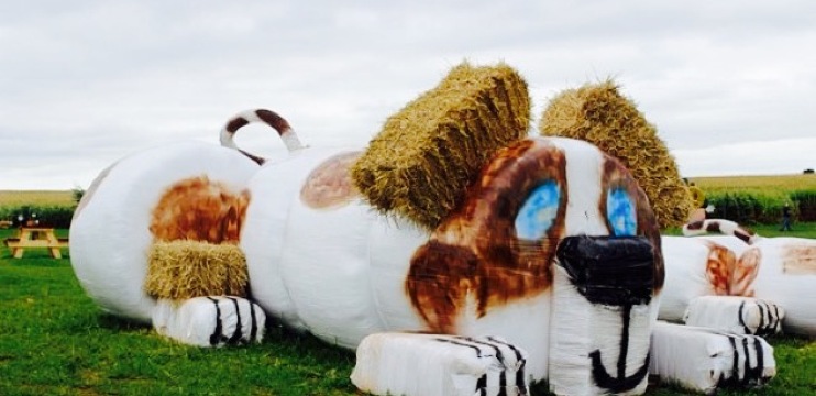 Kool Breeze Ice Cream Barn