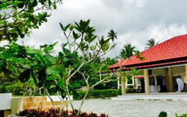 Kampong Dedaun