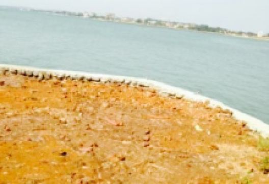 L'Etoile - Petit Bateau美食图片