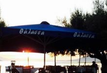 Thalassa美食图片