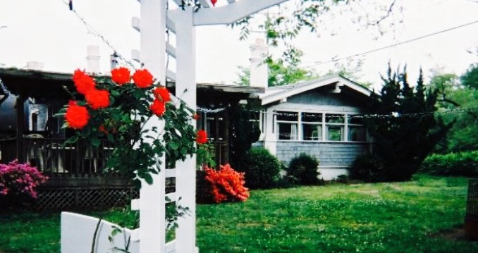 Pungo Pizza & Ice Cream餐厅图片