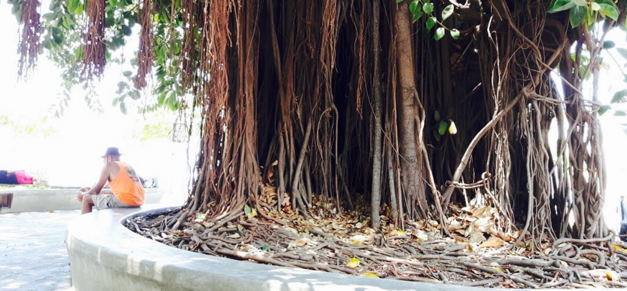 Bamboo Beach Bar餐厅图片