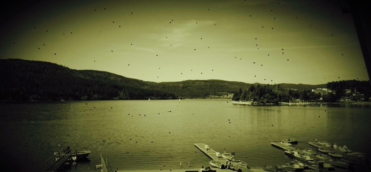 Strand-Restaurant Schluchsee餐厅图片