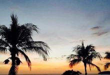 Pacifico Beach Club Restaurant & Bar美食图片