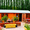 Blossom's Coffee Shed