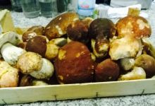 Ristorante Del Moro美食图片