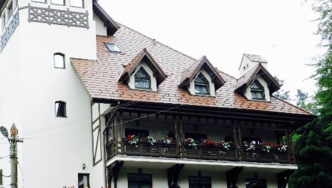 Restaurant Foisorul cu flori餐厅图片