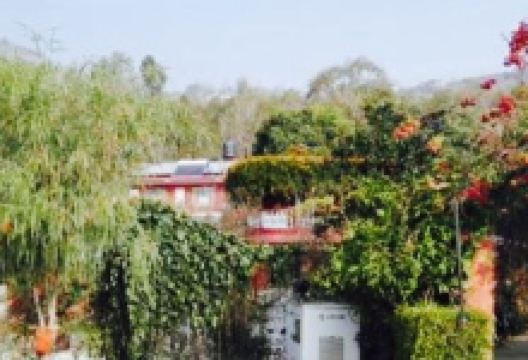 Rose Resort美食图片