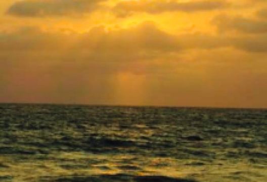 Coffee-Restaurant Nantu美食图片