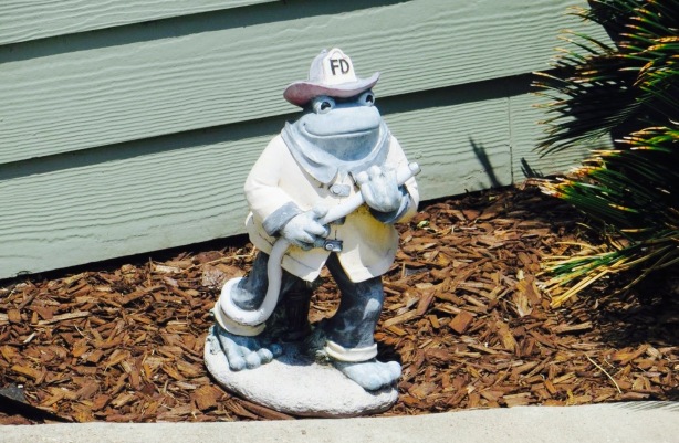 Dazzle Coffee餐厅图片