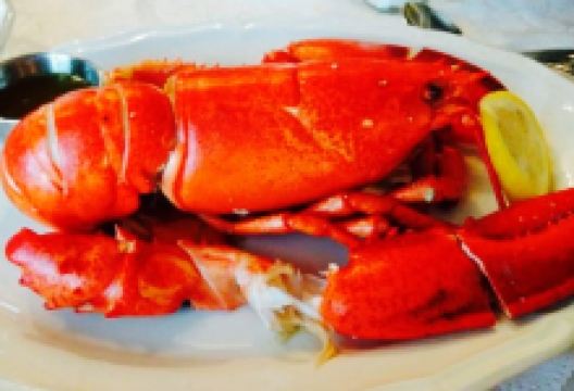 Sophia's Fine Dining at the Eriksen Premises美食图片