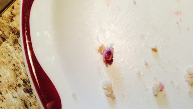 Tim Hortons餐厅图片