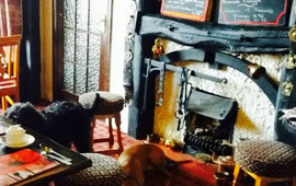 The Old Black Bull
