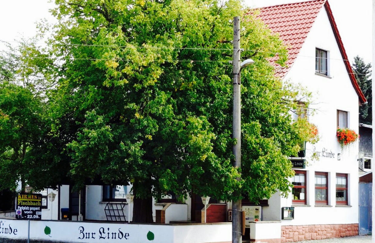 Zur Linde