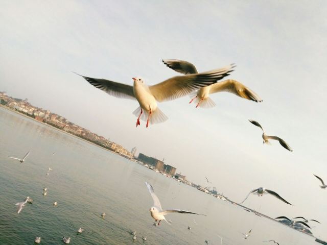 잔교(잔차오)