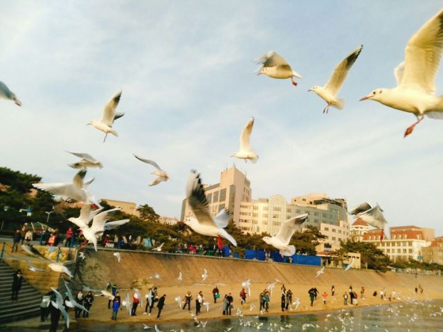 잔교(잔차오)