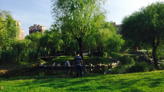 金團公園