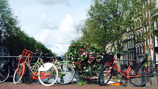 Amsterdam Experience with a Local Photographer
