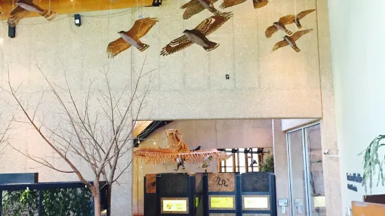 Lakeside Nature Center
