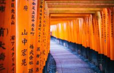 伏见稻荷大社-京都-doris圈圈