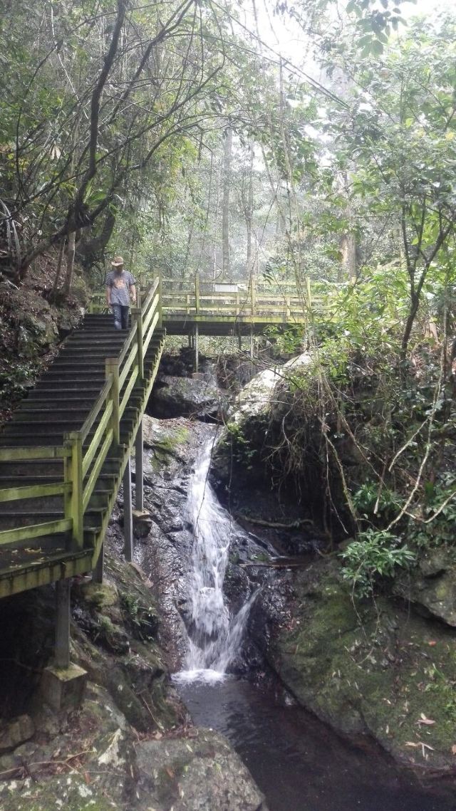 Wuzhishan Tropical Rainforest