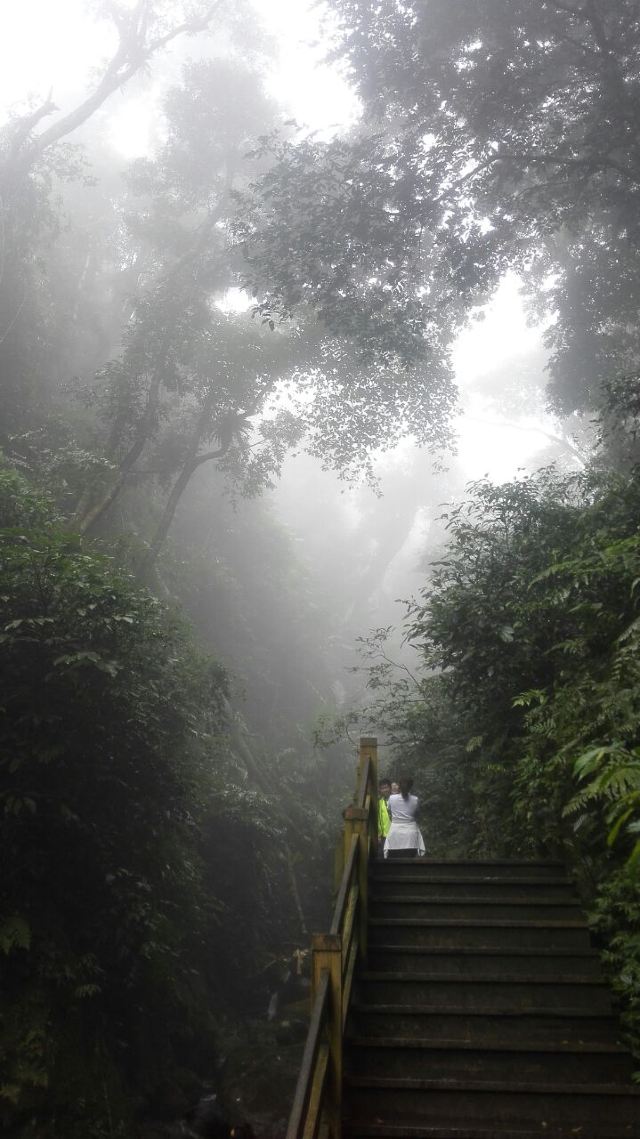 Wuzhishan Tropical Rainforest