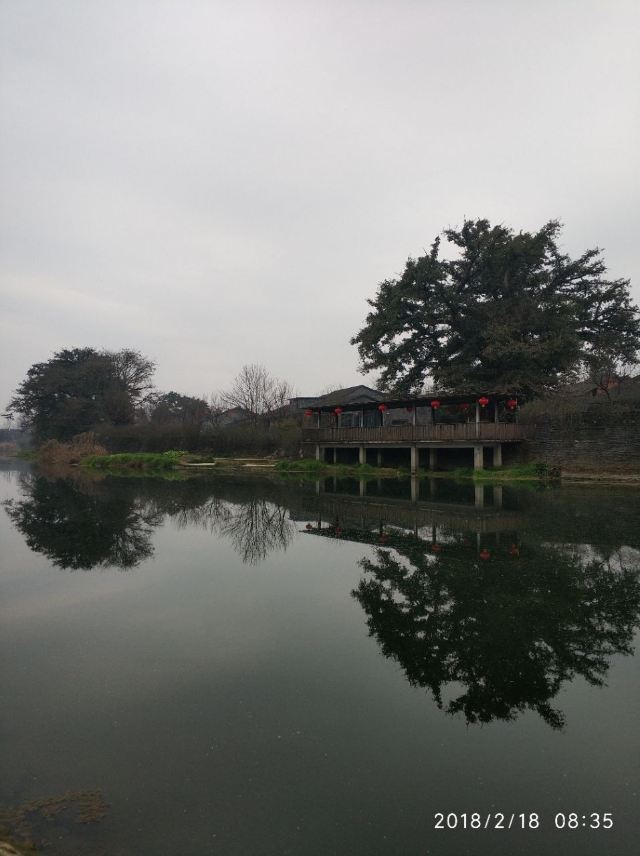 서래고진