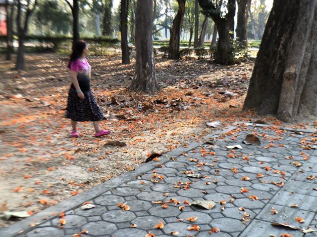 치앙마이 대학교
