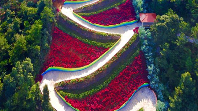 麓湖山文化产业园