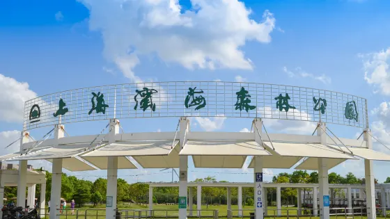 上海濱海森林公園
