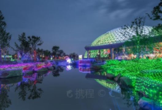 大阳山国家森林公园植物园景区景点图片