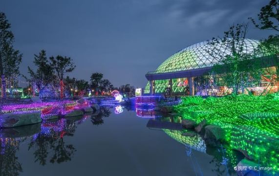 大阳山国家森林公园植物园景区