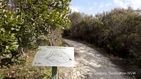 Ku Ring Gai Wildflower Garden Travel Guidebook Must Visit